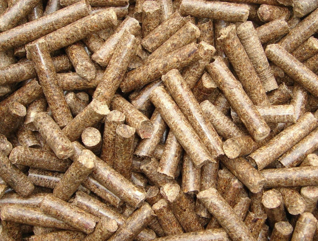 Granuli finali Granulatore di fertilizzanti organici di dimensioni 3-10 mm Con capacità di produzione 4-6 t/h Visita benvenuta