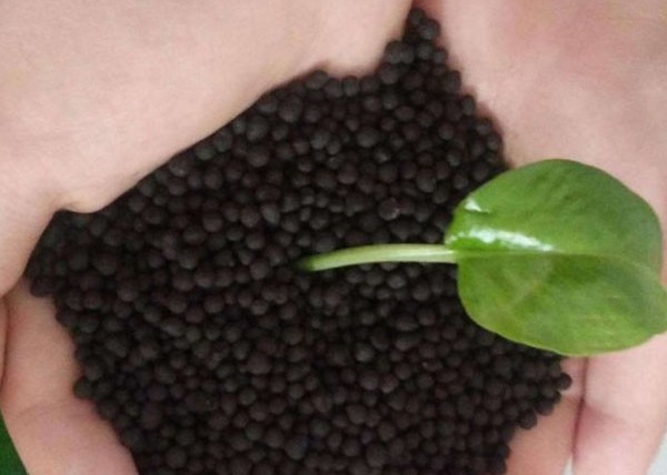 Linea di produzione di pellet di fertilizzanti organici per il letame di piccione Linea di produzione di fertilizzanti organici